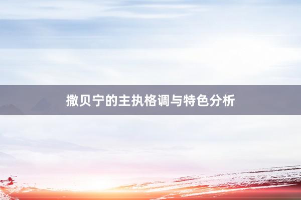撒贝宁的主执格调与特色分析